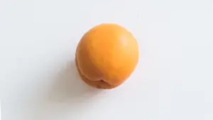 A photo of an apricot against a white background (size at 11 weeks pregnant)