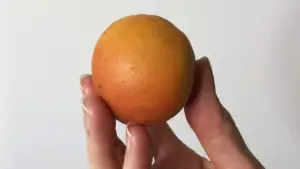 A hand holding a peach
