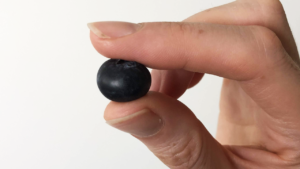 A hand holding a blueberry between a thumb and index finger.