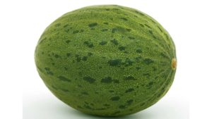 A large, ripe watermelon