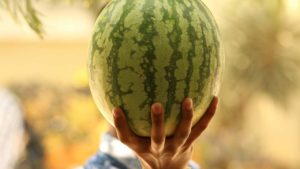 A hand holding a large watermelon